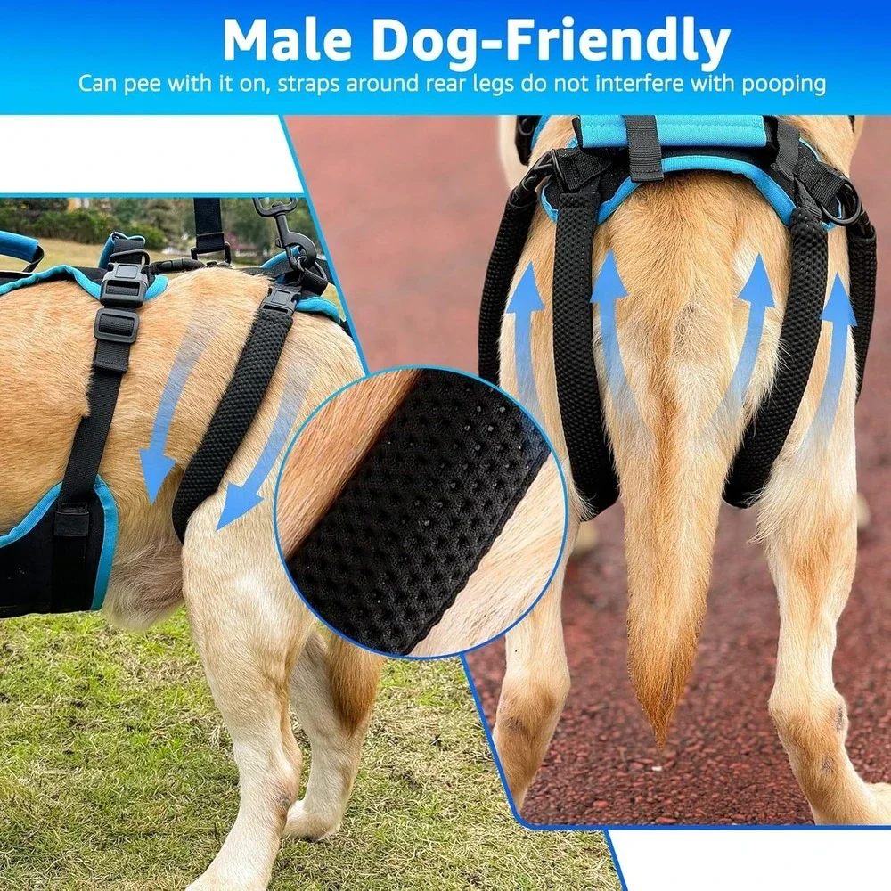 Dog Lift Harness Large 2-in-1 Full Body‎ Sling Support for Large Male Dogs